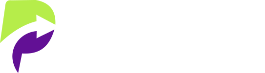 pay3-logo
